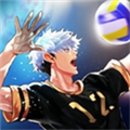 排球高手(The Spike Volleyball battle)